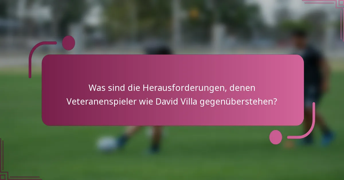 Was sind die Herausforderungen, denen Veteranenspieler wie David Villa gegenüberstehen?